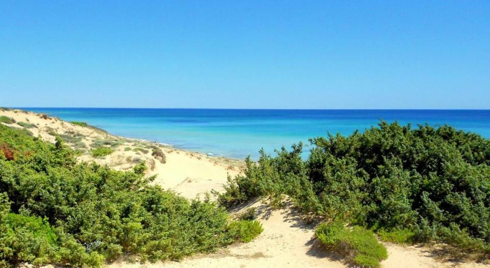 Holiday home Casa Vacanze Dune Sul Mare *
